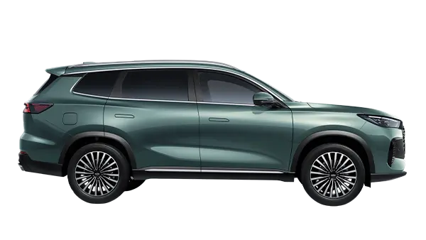 TIGGO8